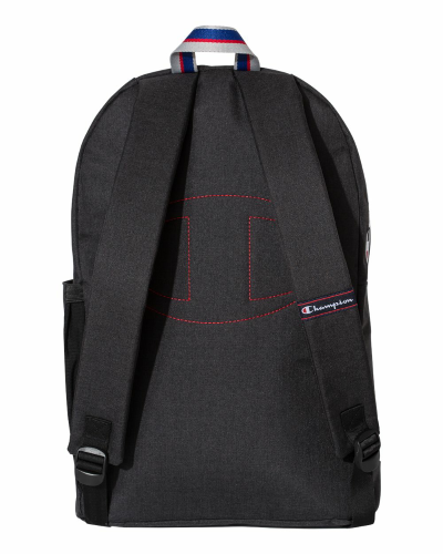 21L Backpack back Image