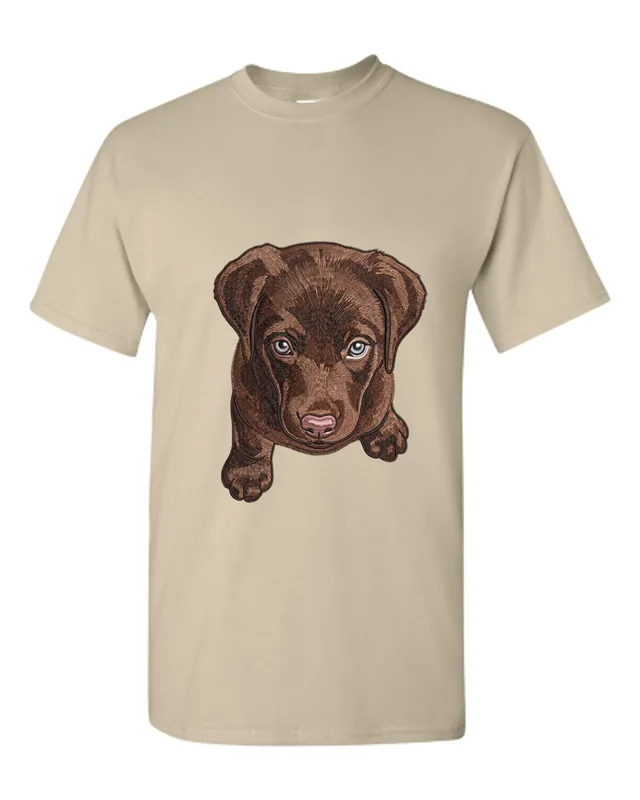 Chocolate lab puppy portrait: Stitched look on sand