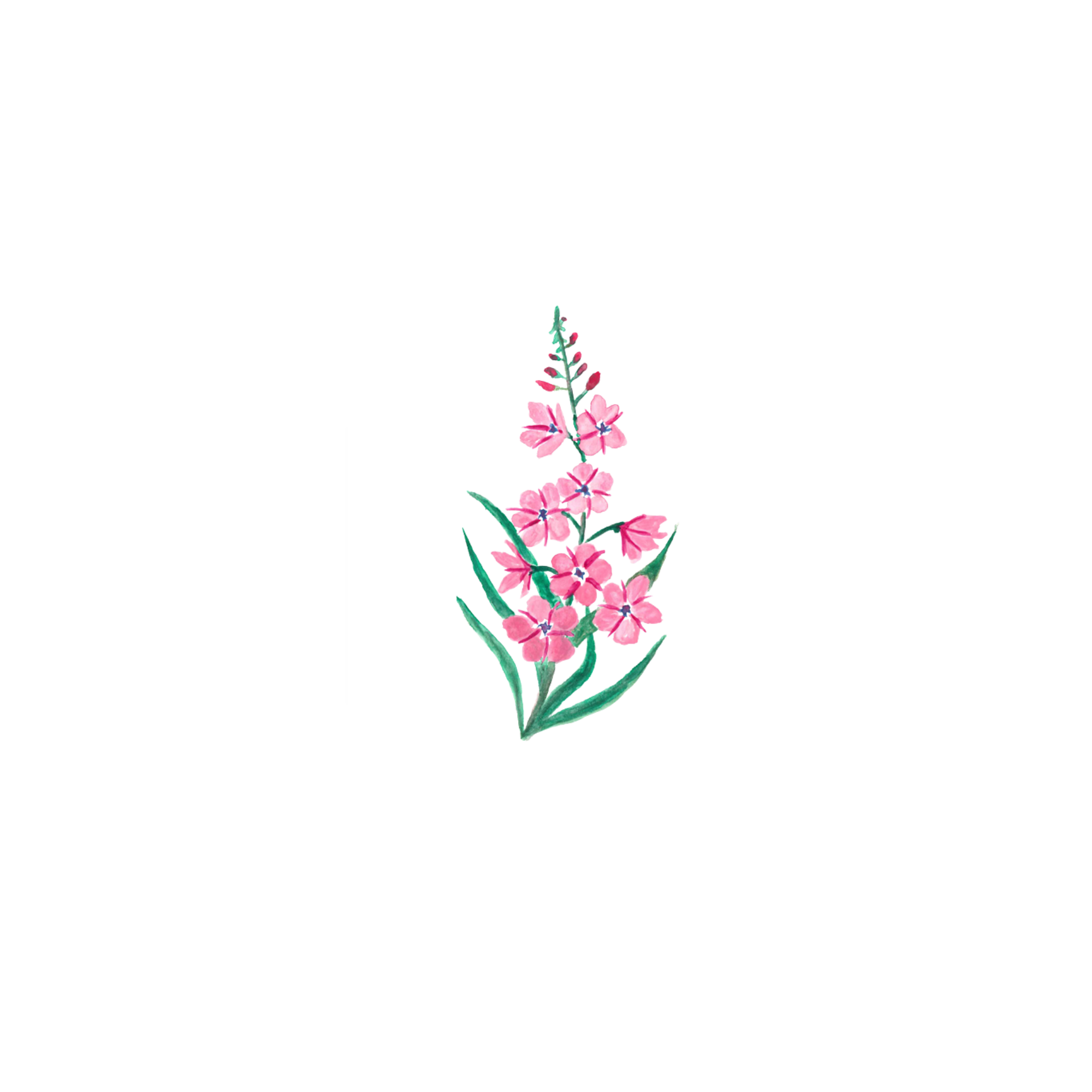KFC Dispatch Merch