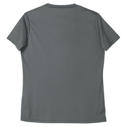 Pro Teem Ladies Tee back Thumb Image