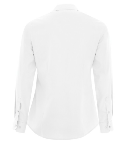 Ladies Long Sleeve Woven Shirt back Thumb Image