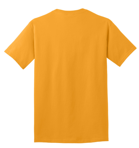 Everyday 100% Cotton T-Shirt back Thumb Image