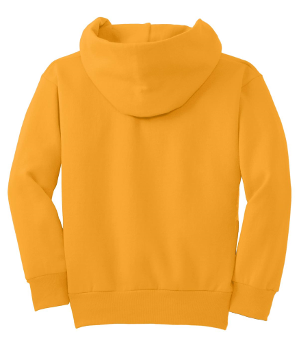YOUTH Classic Fit Fleece Hooded Sweatshirt back Thumb Image