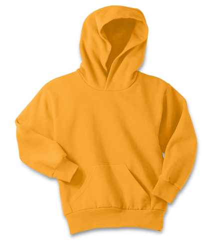 Youth  Hoodie